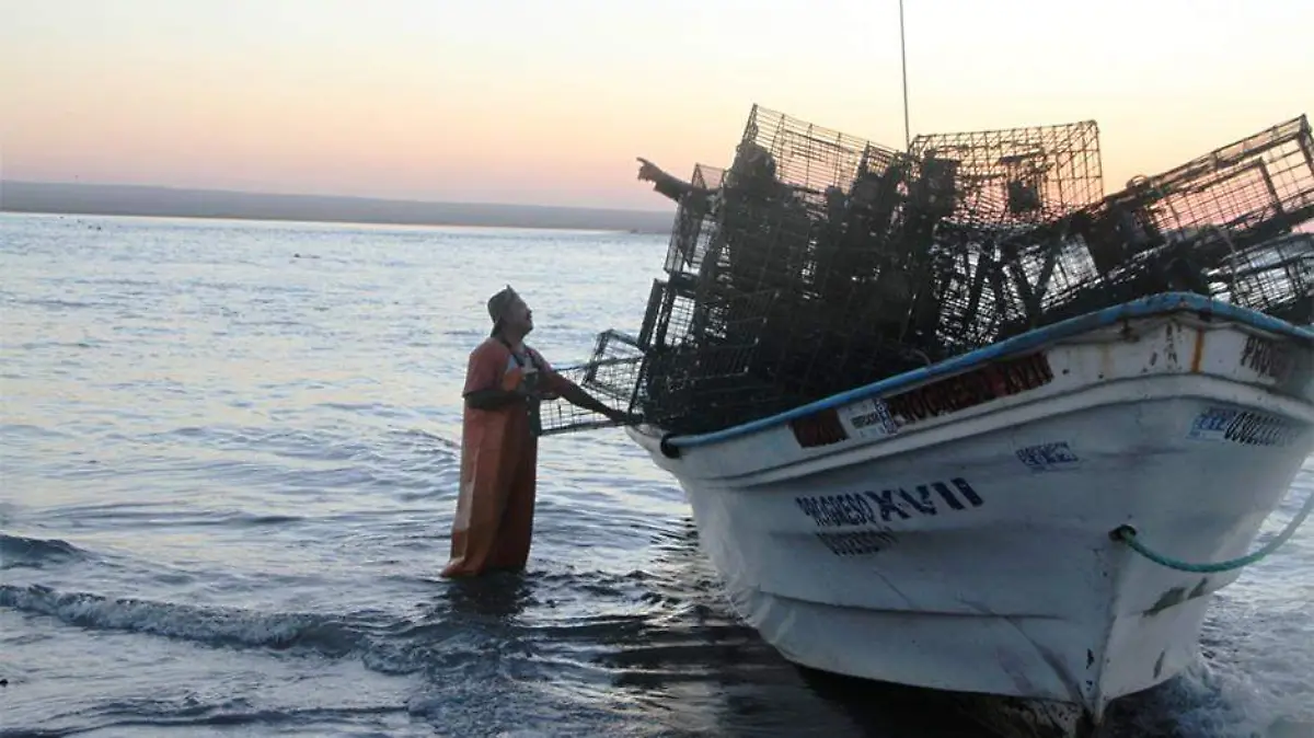 Pesca pescadores langosta BCS